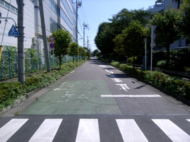 画像ｻｲｽﾞは消してください